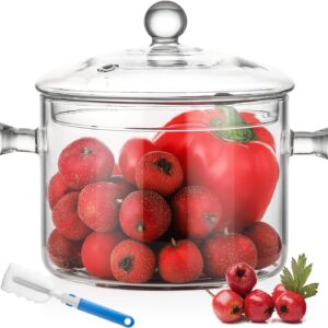 Olla Tapa de Vidrio borosilicato Transpa